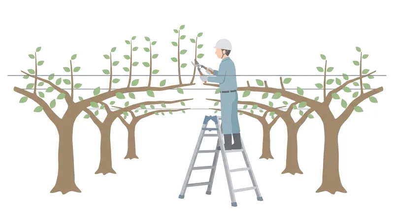 Tree Training, Pruning, Trellis Systems, and Tying
